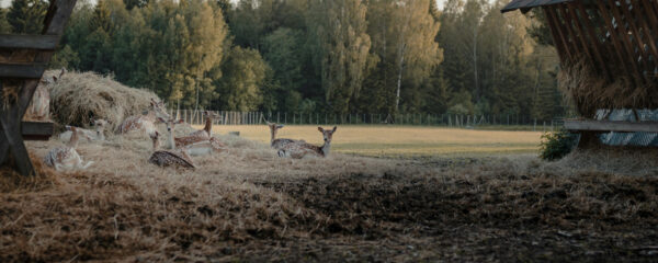 parc animalier