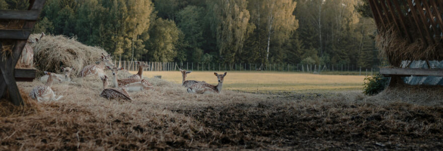 parc animalier